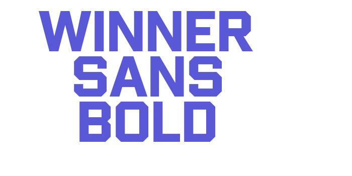 Winner Sans Bold Font