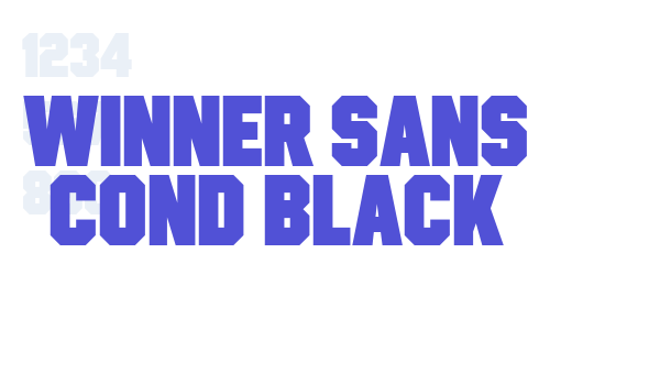 Winner Sans Cond Black font download