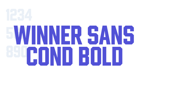 Winner Sans Cond Bold font download