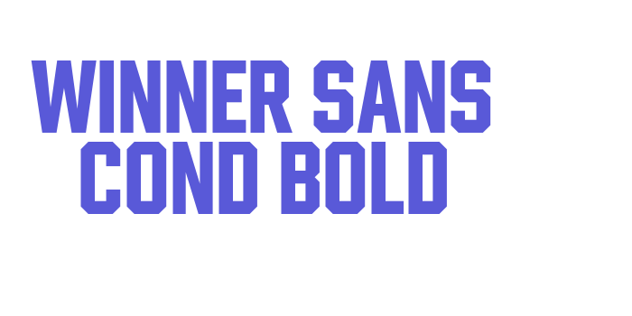 Winner Sans Cond Bold Font