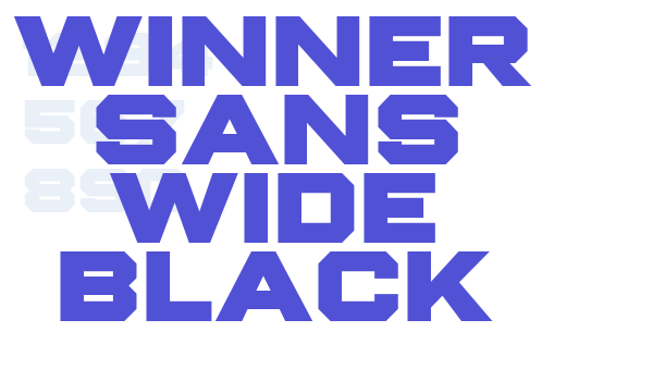 Winner Sans Wide Black font download