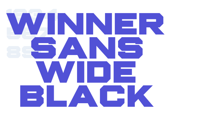 Winner Sans Wide Black font download