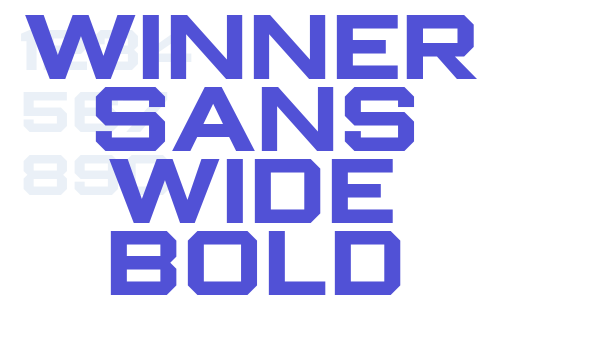 Winner Sans Wide Bold font download