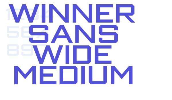 Winner Sans Wide Medium font download