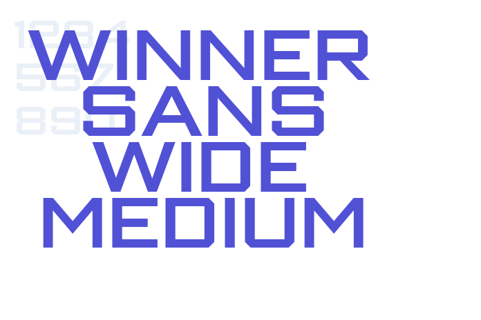 Winner Sans Wide Medium font download