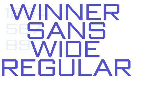 Winner Sans Wide Regular font download