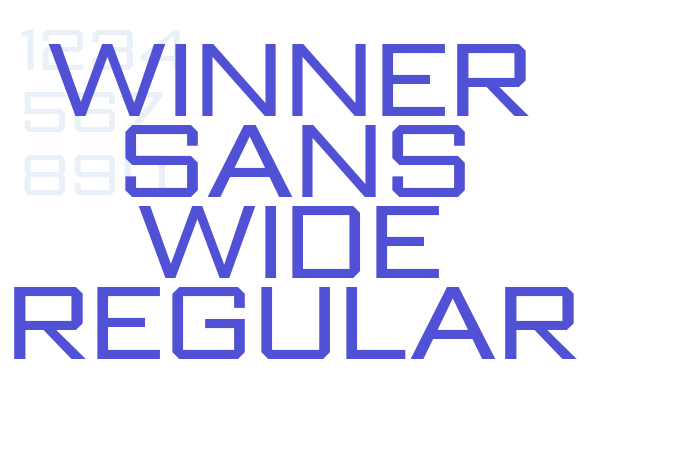 Winner Sans Wide Regular font download