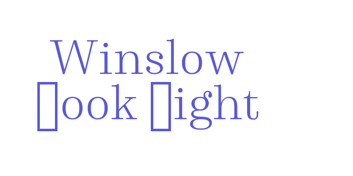 Winslow Book Light Font