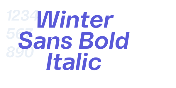 Winter Sans Bold Italic font free