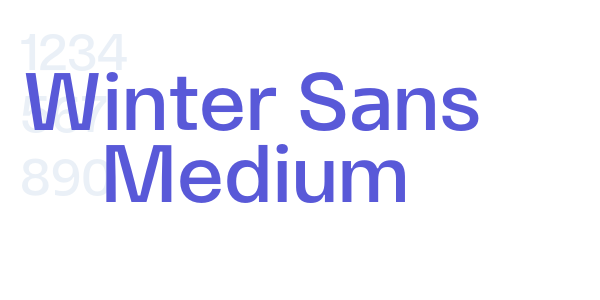 Winter Sans Medium font free