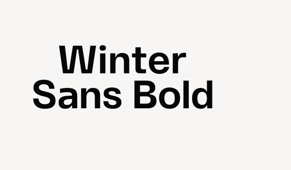 Winter Sans Bold Font