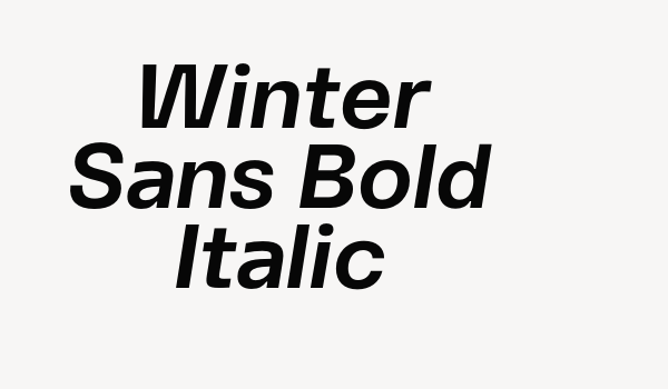 Winter Sans Bold Italic Font