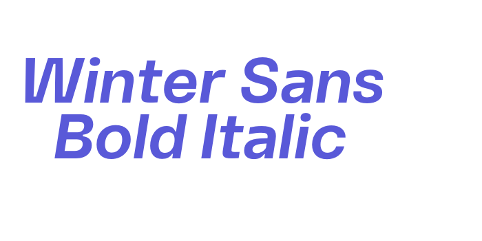 Winter Sans Bold Italic Font Download