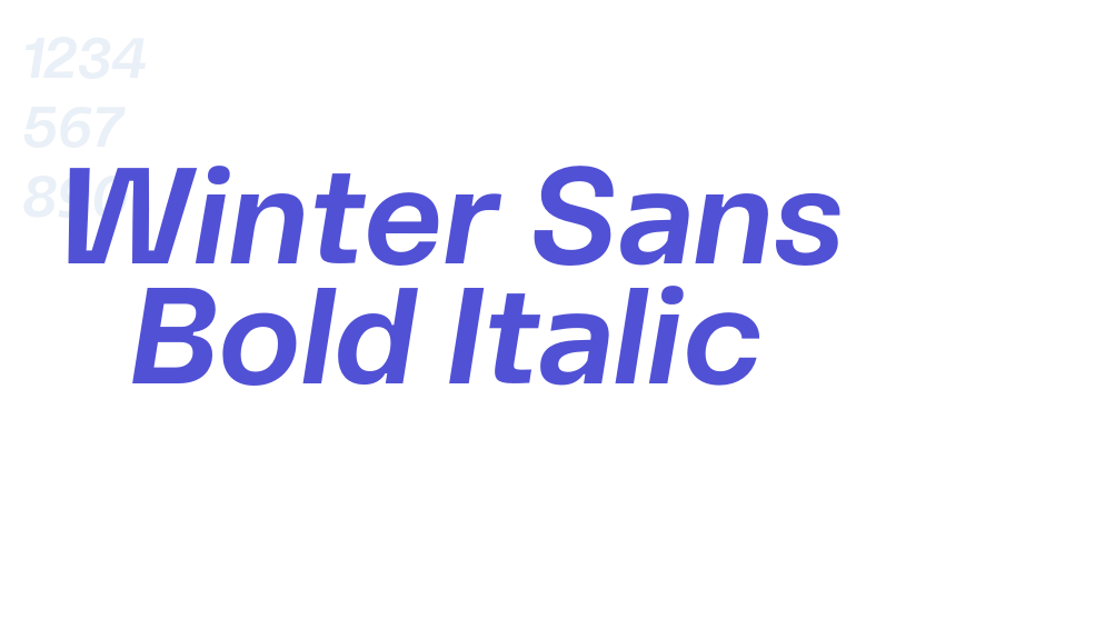 Winter Sans Bold Italic-font-download