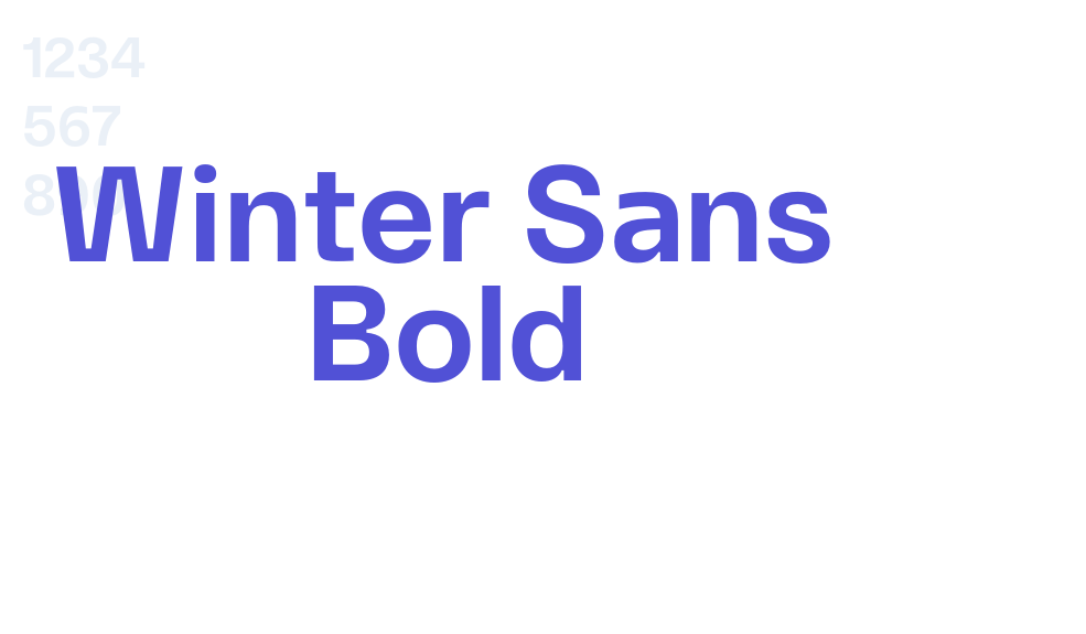 Winter Sans Bold-font-download