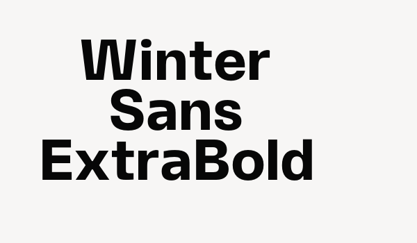 Winter Sans ExtraBold Font