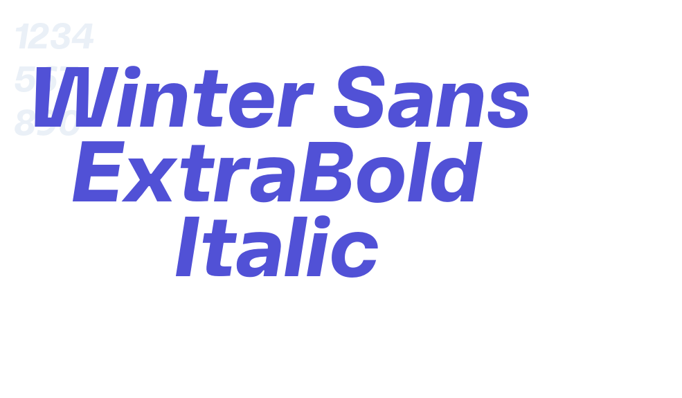 Winter Sans ExtraBold Italic-font-download