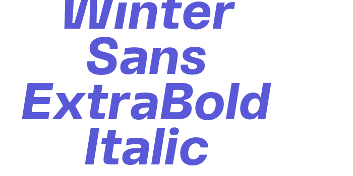 Winter Sans ExtraBold Italic Font