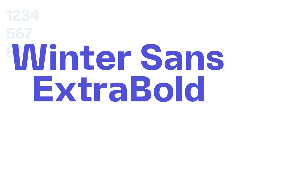 Winter Sans ExtraBold-font-download