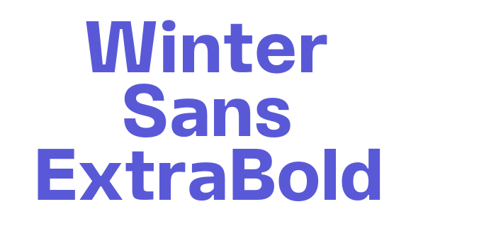 Winter Sans ExtraBold Font