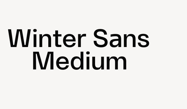 Winter Sans Medium Font