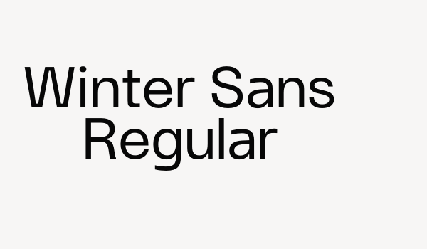 Winter Sans Regular Font