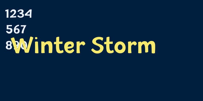 Winter Storm