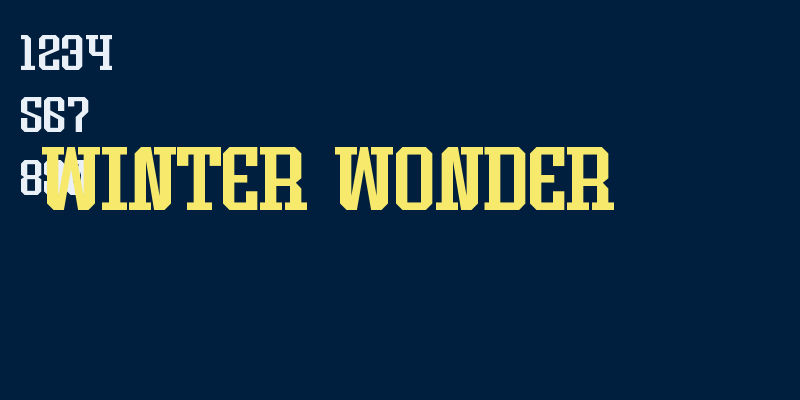 Winter Wonder