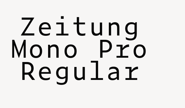 Zeitung Mono Pro Regular Font