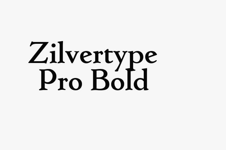 Zilvertype Pro Bold font download