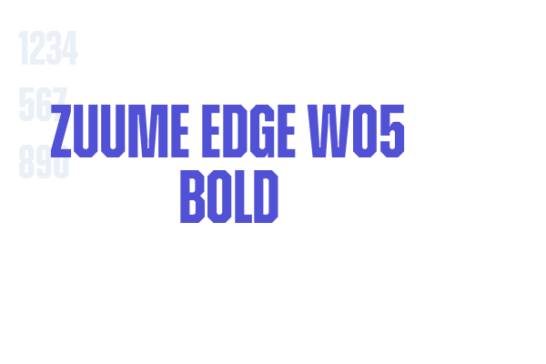 Zuume Edge W05 Bold