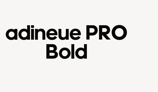 adineue PRO Bold Font