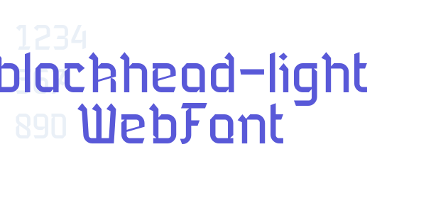 blackhead-light WebFont font