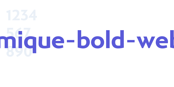 ergonomique-bold-webfont font