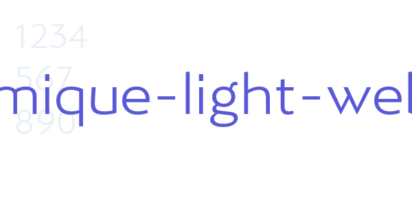 ergonomique-light-webfont font