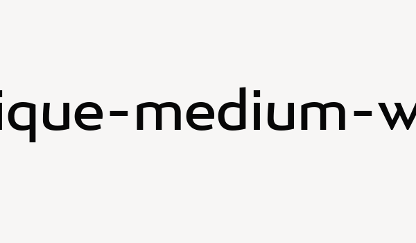 ergonomique-medium-webfont Font