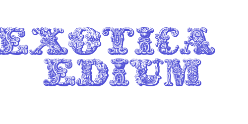 exotica Medium-font-download