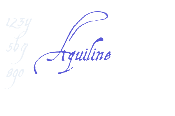 Aquiline