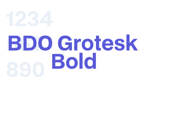 BDO Grotesk Bold