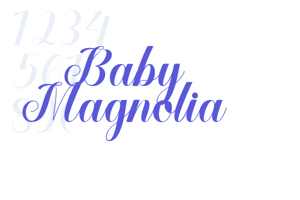 Baby Magnolia