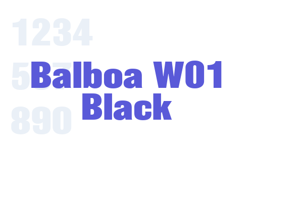 Balboa W01 Black