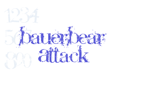 BauerBear Attack