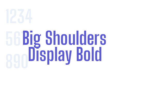 Big Shoulders Display Bold