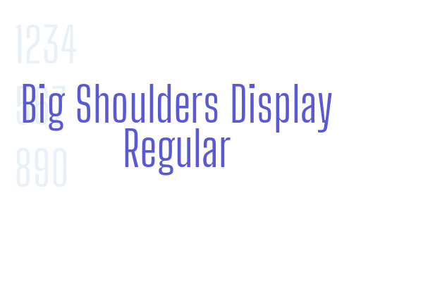 Big Shoulders Display Regular