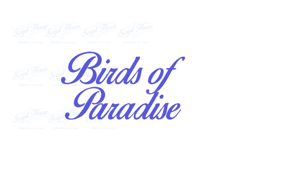 Birds of Paradise font