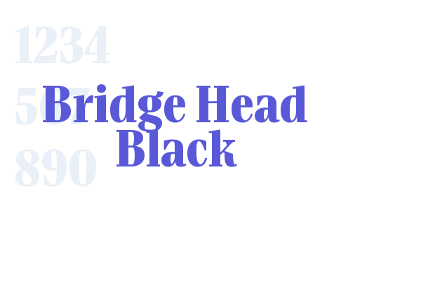 Bridge Head Black