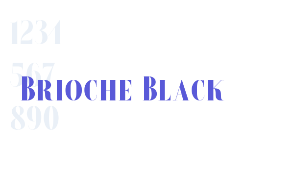 Brioche-Black