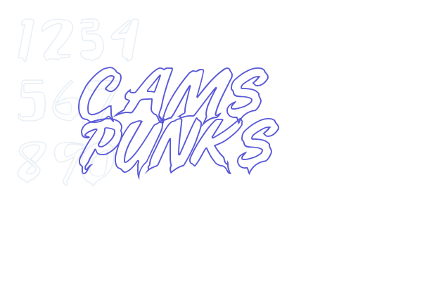 CAMS PUNKS