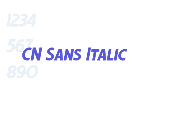 CN Sans Italic