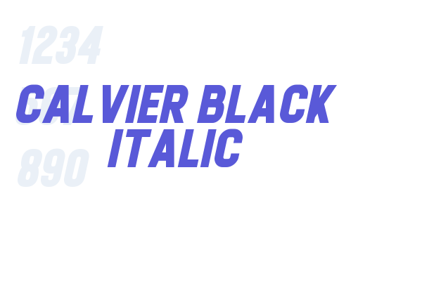 Calvier Black Italic